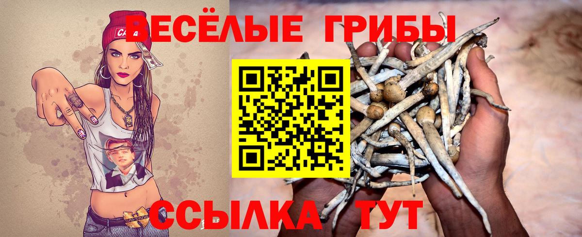 Галлюциногенные грибы ЛСД Волгоград